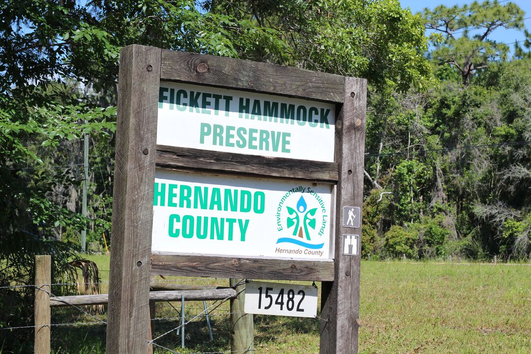 Fickett Hammock Preserve Tour