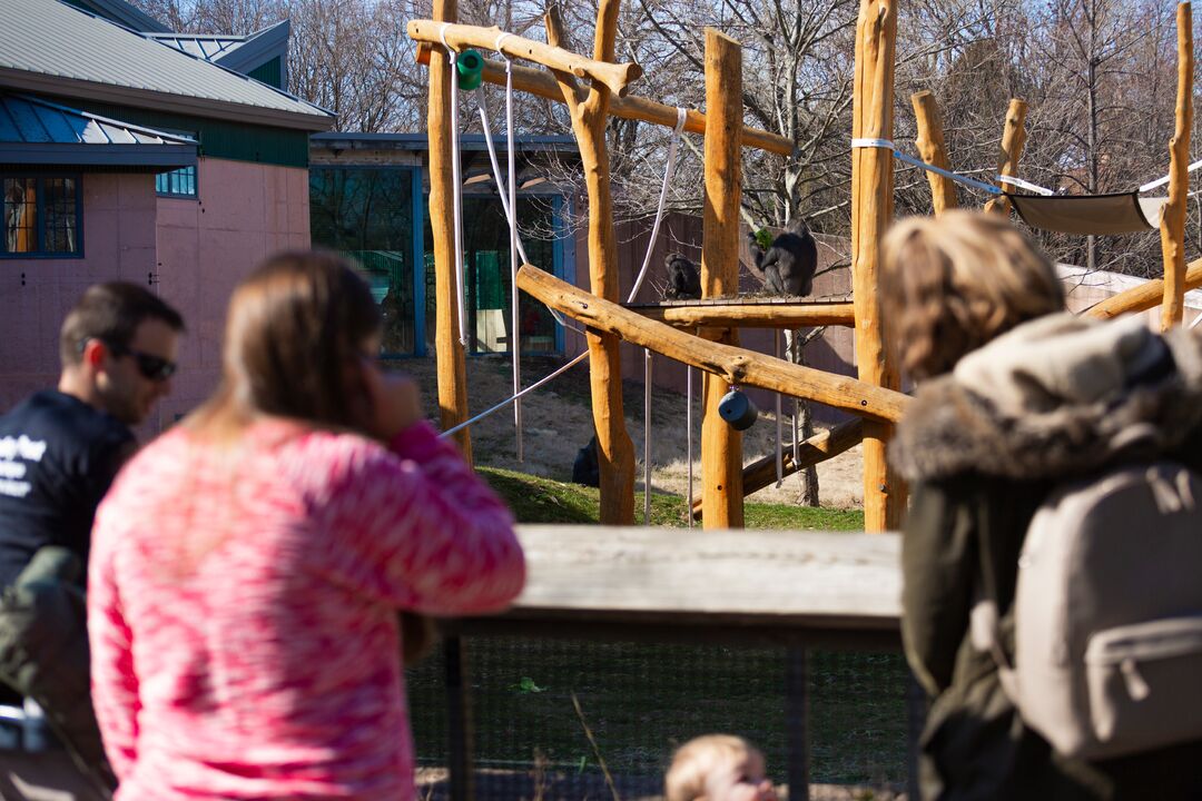 Philadelphia Zoo