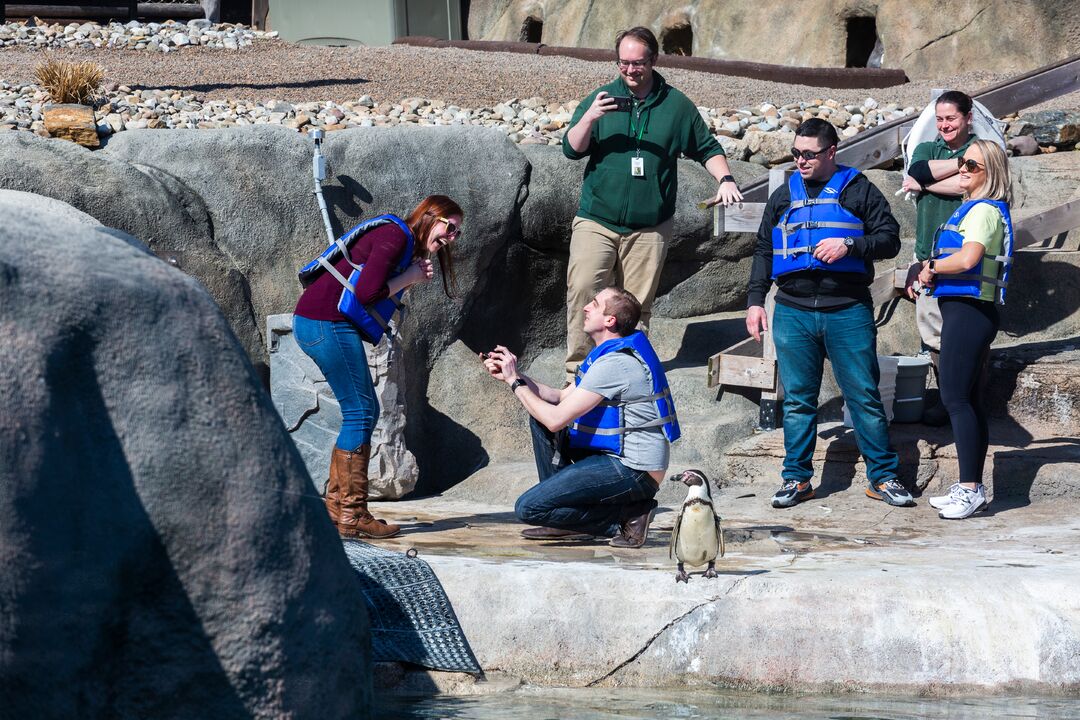 Philadelphia Zoo