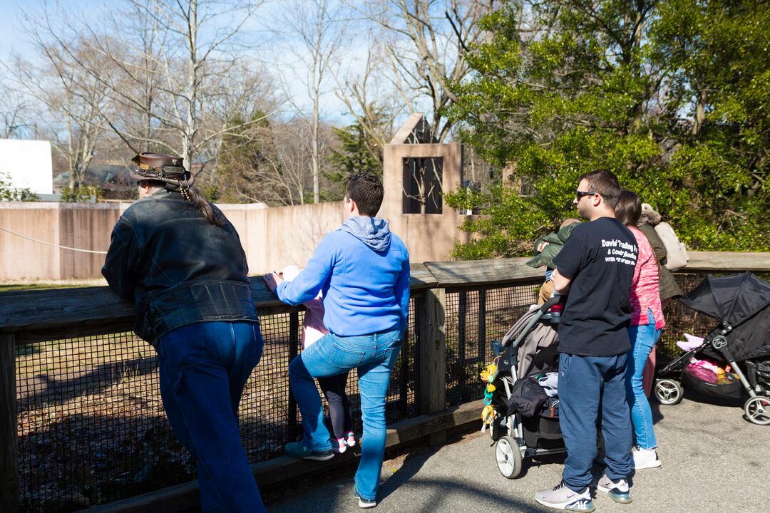 Philadelphia Zoo