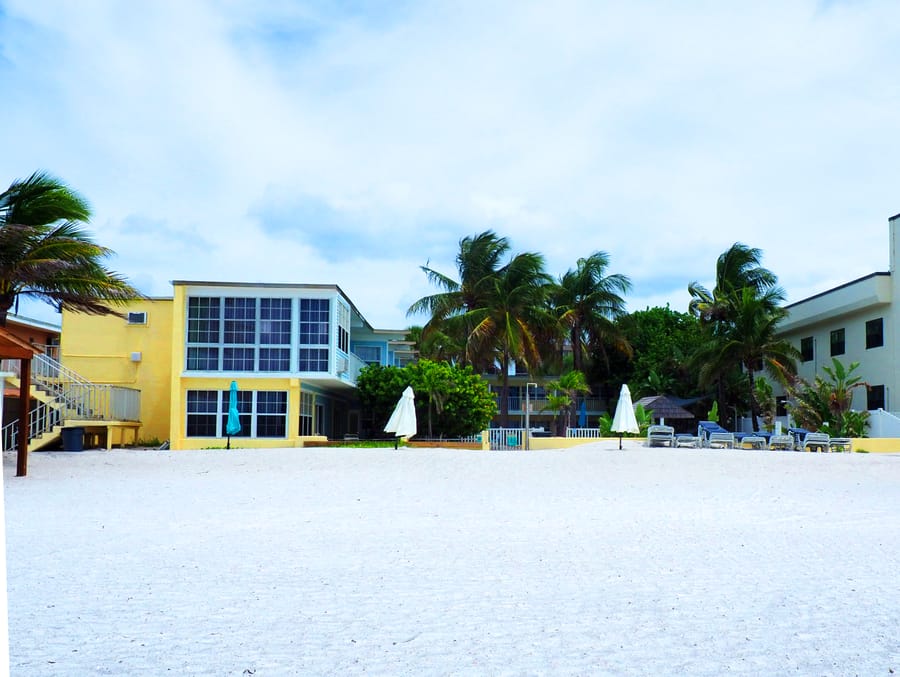 Coquina on the Beach