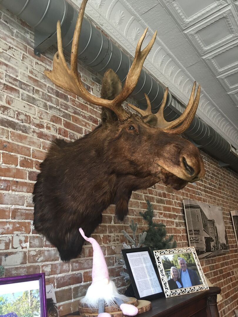 The Bistro Interior