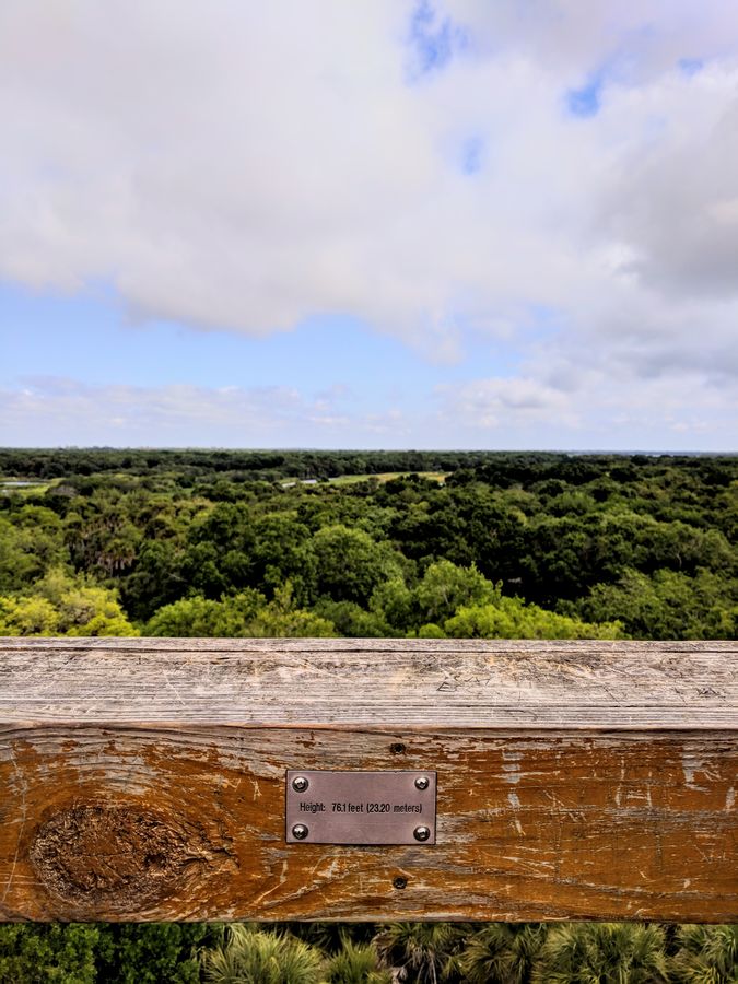 Myakka State Park Canopy Walk