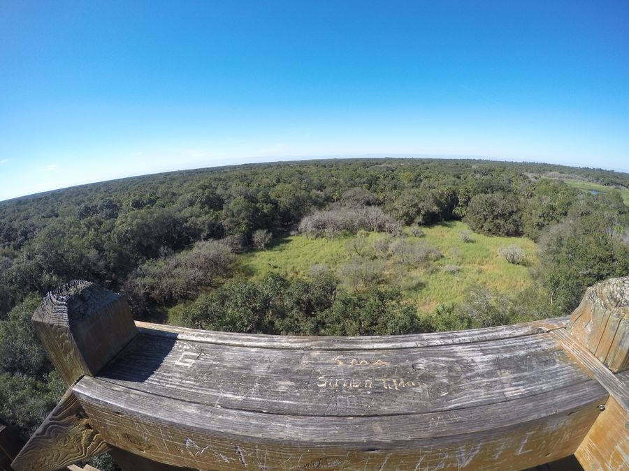 Myakka State Park Canopy Walk