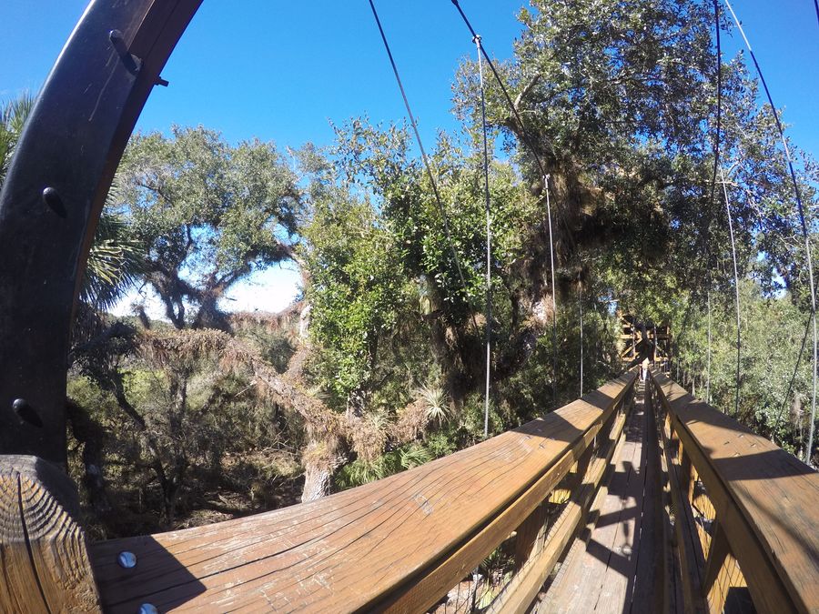 Myakka State Park Canopy Walk