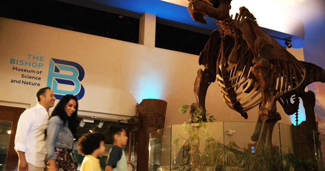 The Bishop Museum of Science and Nature - Madden Media