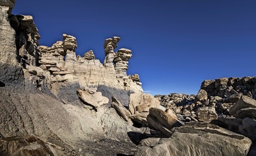 Petrified Forest National Park