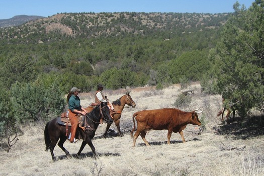 Cherry Creek Lodge