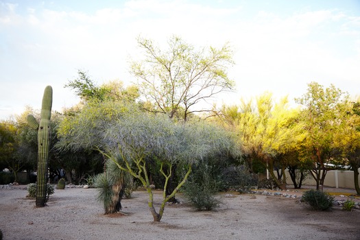 Miraval Resort and Spa