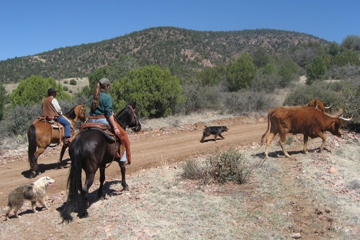 Cherry Creek Lodge