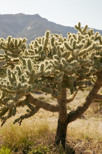 Miraval Resort and Spa