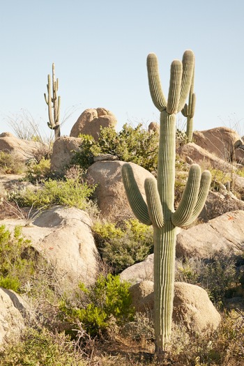 Miraval Resort and Spa