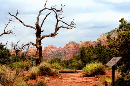 South Rim Grand Canyon