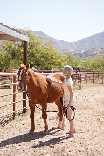 Miraval Resort and Spa