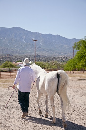 Miraval Resort and Spa