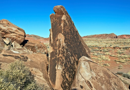 Petrified Forest National Park