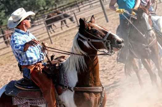 White Stallion Ranch