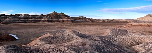 Petrified Forest National Park