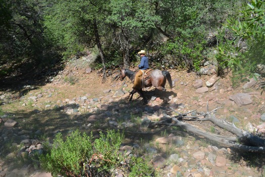 Cherry Creek Lodge