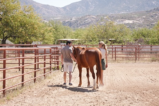 Miraval Resort and Spa