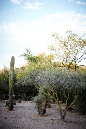 Miraval Resort and Spa