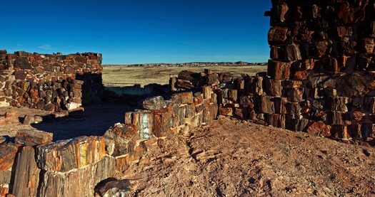 Petrified Forest National Park