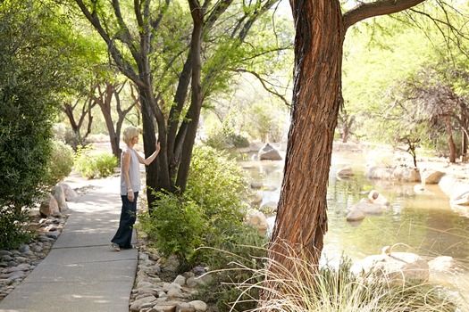 Miraval Resort and Spa