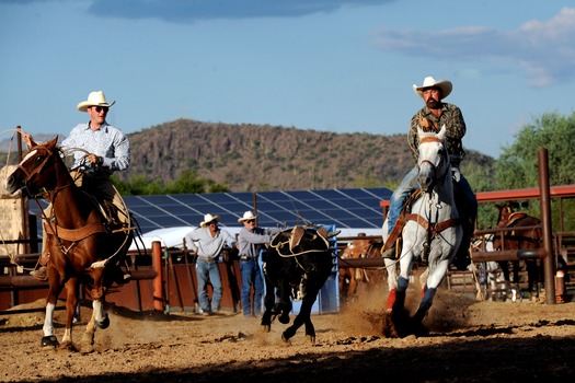 White Stallion Ranch