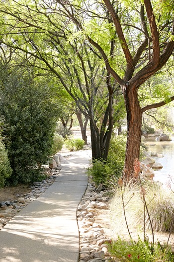 Miraval Resort and Spa