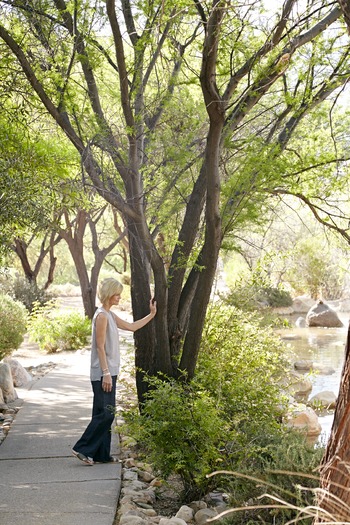 Miraval Resort and Spa