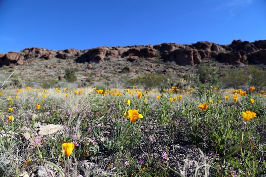 Cerbat Foothills Recreation Area