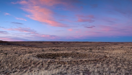 Petrified Forest National Park