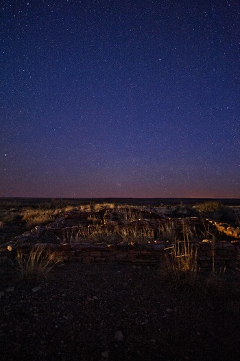 Petrified Forest