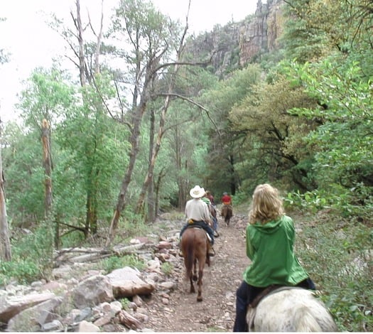 Cherry Creek Lodge