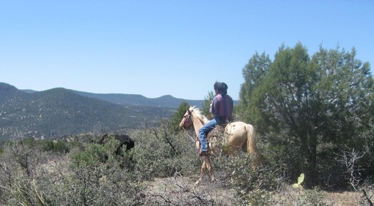 Cherry Creek Lodge