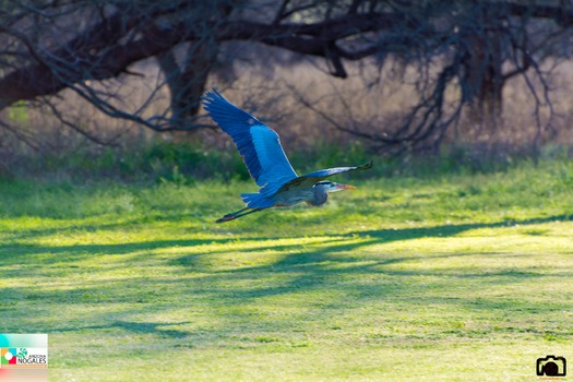 Rio Rico Golf Course