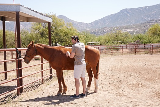 Miraval Resort and Spa