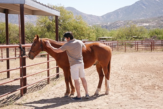 Miraval Resort and Spa