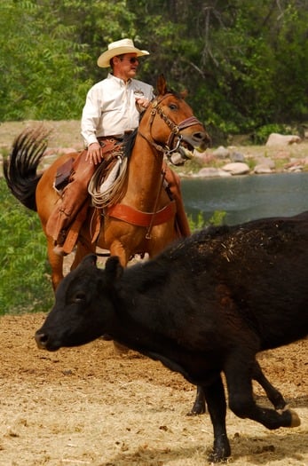 Cherry Creek Lodge