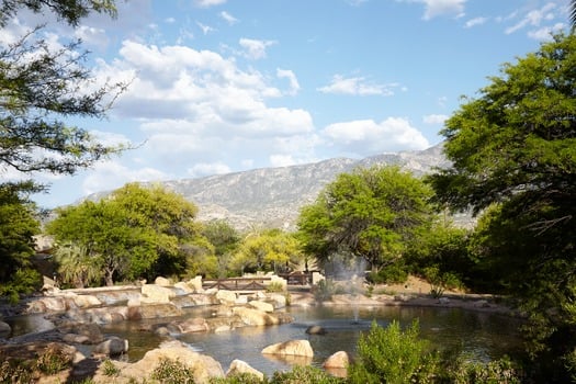 Miraval Resort and Spa