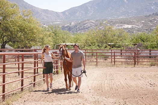 Miraval Resort and Spa