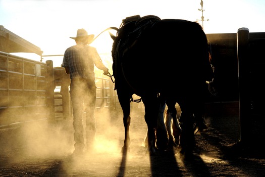 White Stallion Ranch