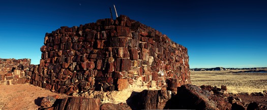 Petrified Forest National Park