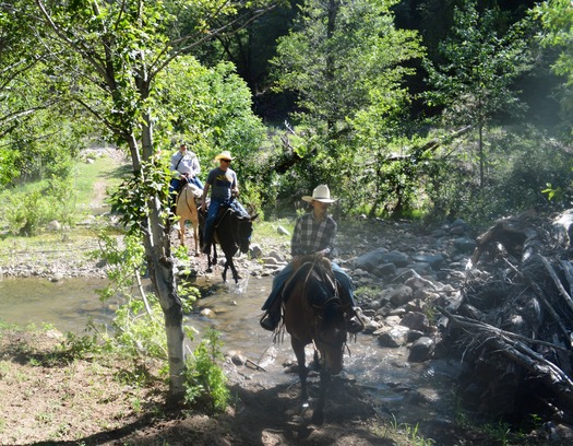 Cherry Creek Lodge