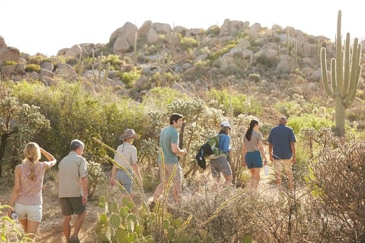 Miraval Resort and Spa