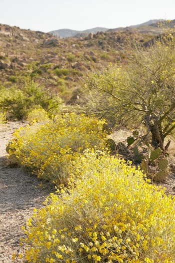Miraval Resort and Spa