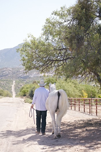 Miraval Resort and Spa