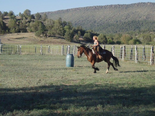 Cherry Creek Lodge