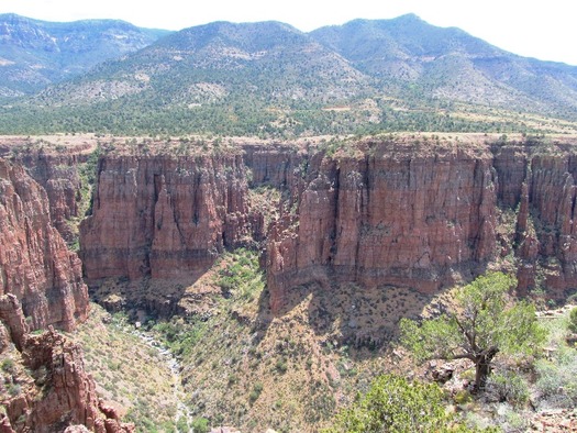 Canyon Views