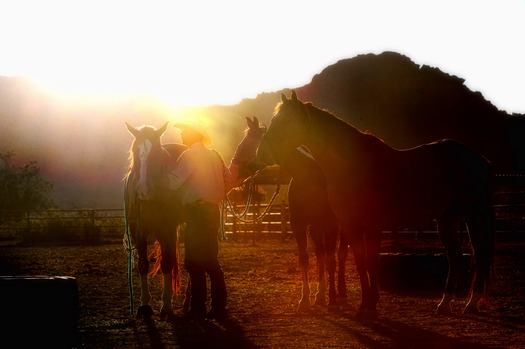 White Stallion Ranch